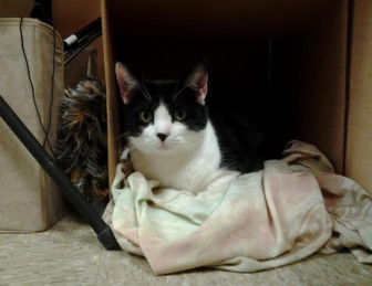 Pixie just wants someone who understands her fears.