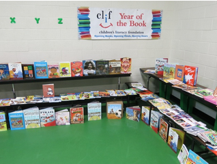 Year of the Book will include author visits and books for all.