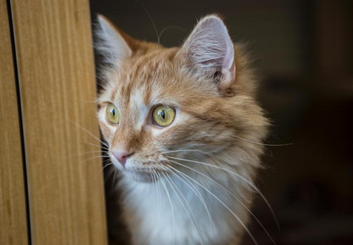 Screen shot 2014-09-21 at 9.13.17 PM