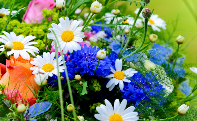 Screen shot 2014-09-17 at 9.54.04 PM