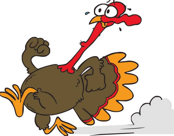 Turkey Trot