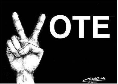 Exercise your right to vote.