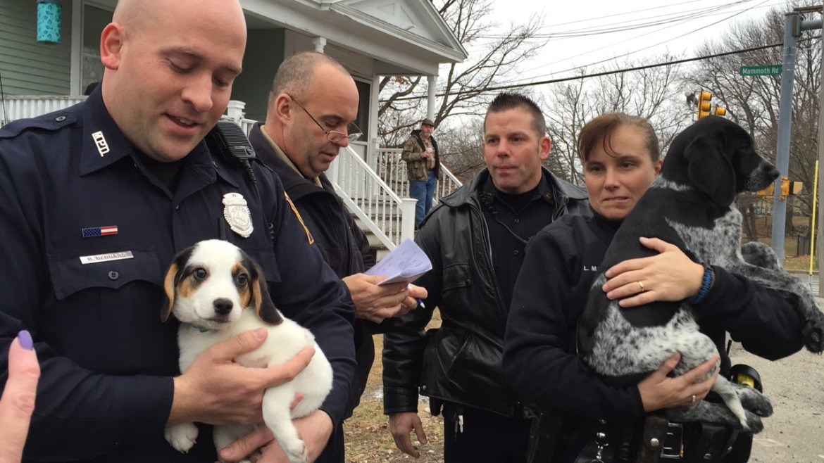 Officers load the last of the stolen pups into the animal control van.