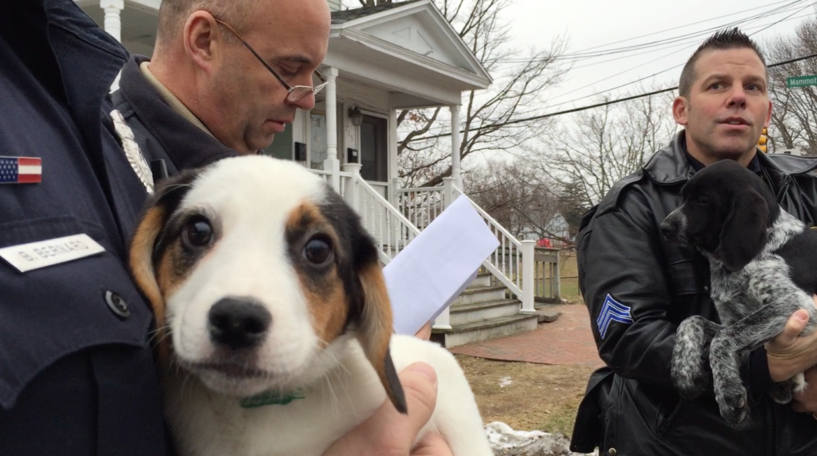 A beagle puppy finds comfort in the arms of Manchester Police Officer Beau Bernard.