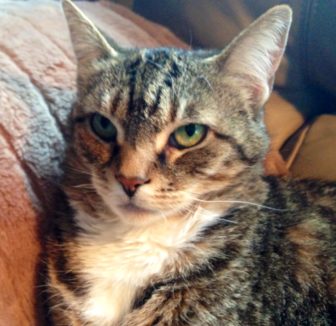 JuJu striking a pose.