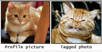 Have you ever untagged an unflattering Facebook photo of yourself?