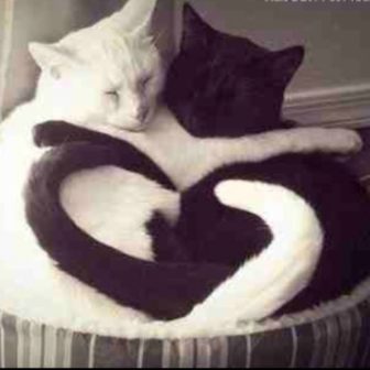 Relationships require a balance of same and different, yin and yang, honesty and acceptance.