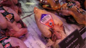 Chicken of Lyon, France