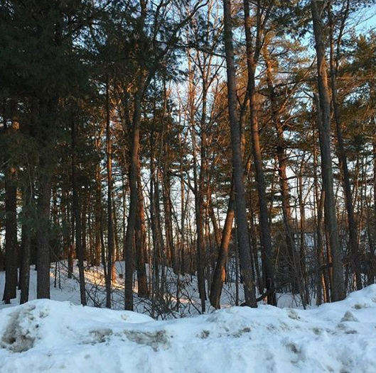 One more week until Daylight Savings, and the morning sun will be even brighter. Come on, Spring!