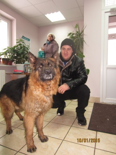 Bubus, after some TLC.