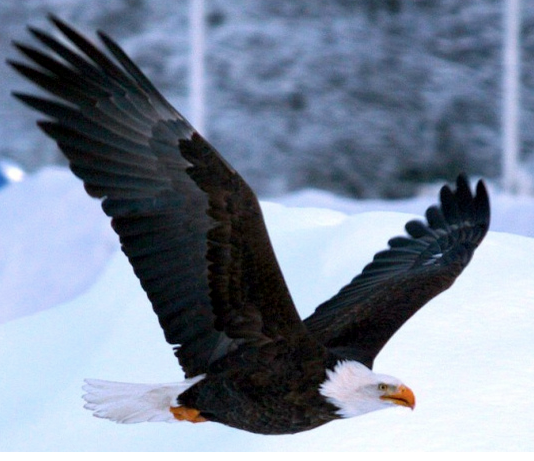 Screen Shot 2015-03-23 at 1.48.49 PM