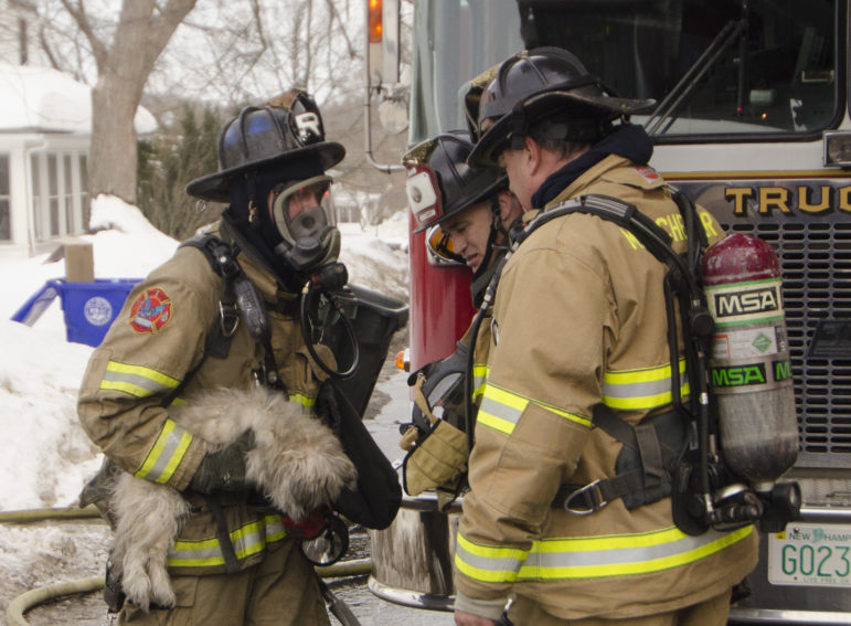 Manchester firefighters rescued a small dog from a Mitchell Street fire.