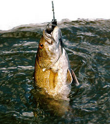 Screenshot 2015-04-23 at 8.40.05 PM