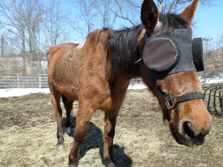 Flora wearing a UV mask to prevent further damage to her eyes.
