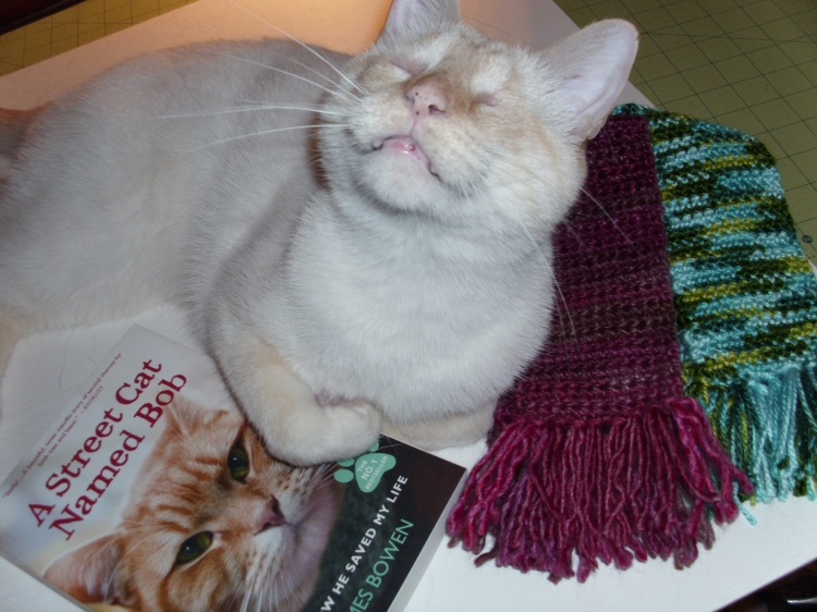 Lucius with Bob book.