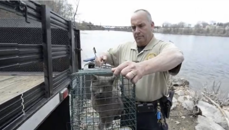 Screen Shot 2015-05-01 at 10.33.53 PM