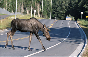 Screen Shot 2015-06-26 at 11.34.51 AM