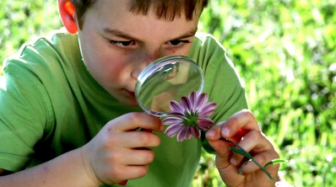 Screen Shot 2015-06-16 at 1.36.43 PM