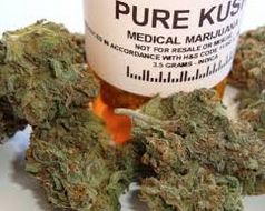 Screen Shot 2015-06-09 at 4.31.44 PM