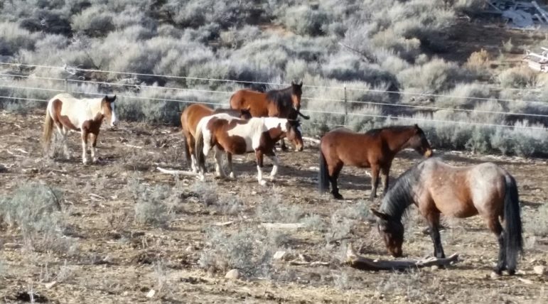 20150219_152339_resized (2)