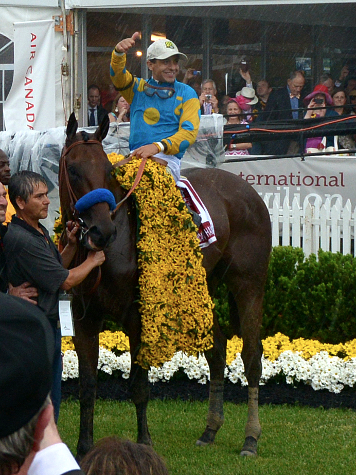 American Pharoah, the 12th and latest winner, at the 2015 Preakness Stakes