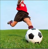 Screen Shot 2015-07-14 at 5.27.13 PM