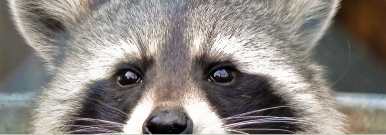 Screen Shot 2015-07-14 at 12.46.17 PM