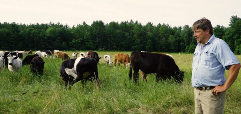 Steve Normanton and his grass-fed beef.