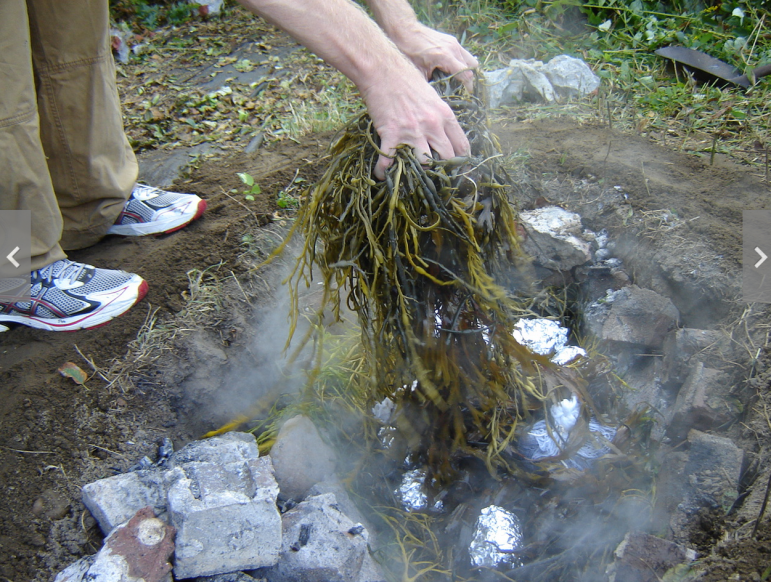 It's OK to gather seaweed for whatever it is you want to do with it, during the day here, but don't get caught at night.