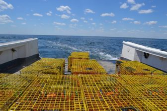 11400987_998588033515255_4087992577533367113_n