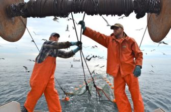 The Sandi Lynn II out of Seabrook Harbor, a CSF supplier