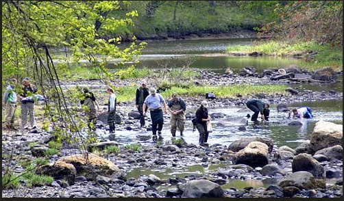 Get in touch with nature via  NH Fish & Game Project WILD workshop.