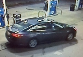 Screen Shot 2015-08-05 at 7.23.33 AM