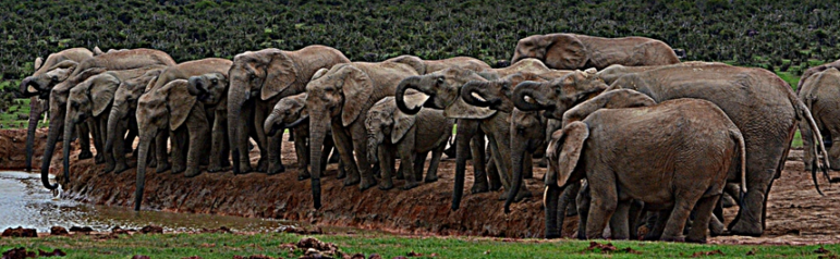 Crowded field of most of the current GOP candidates will come together on one stage Aug. 3.