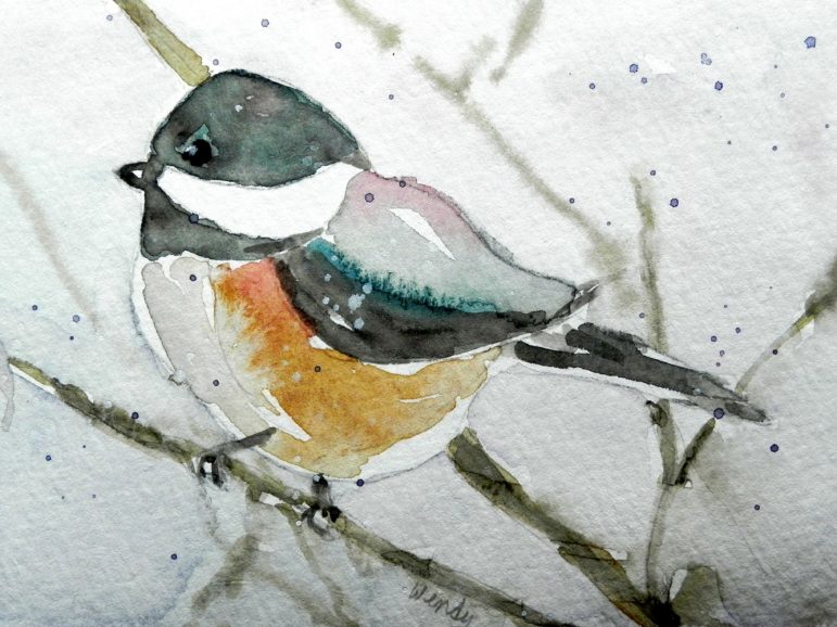Chick-a-dee in Winter.