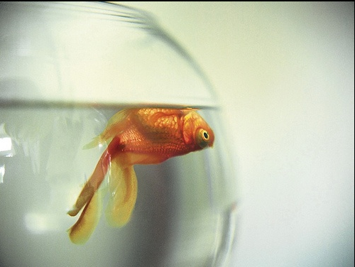 Screen Shot 2015-09-10 at 6.13.03 PM