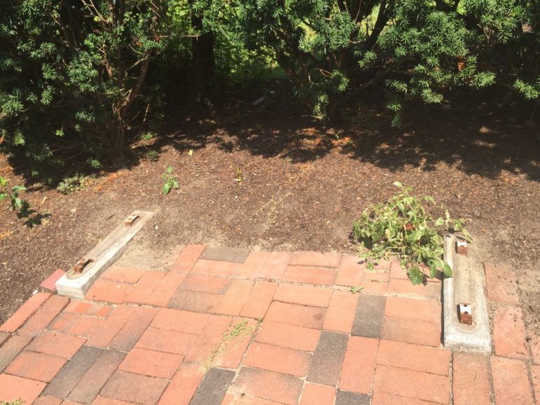 Empty space where a historic bench used to sit in Pretty Park.