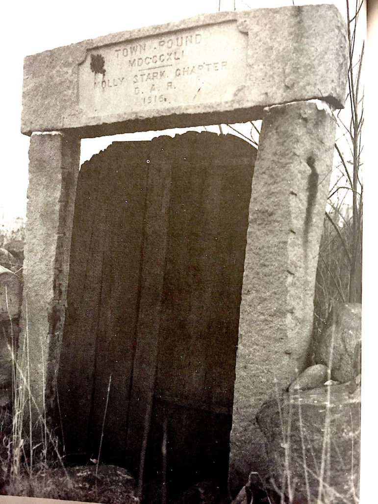 Knock-knock. Who's there? Moo.