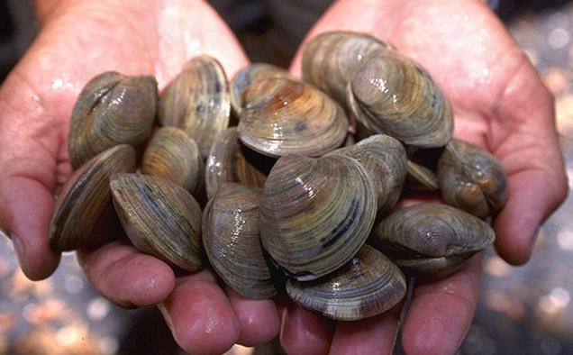 Screenshot 2015-11-19 at 11.14.03 PM