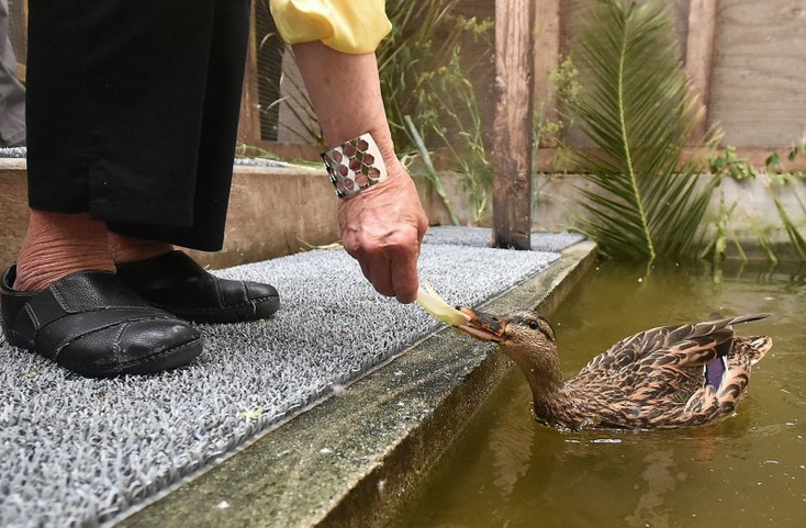 Juanita gets a lettuce leaf hand-out from a resident of the nursing home where she was rehabbed.