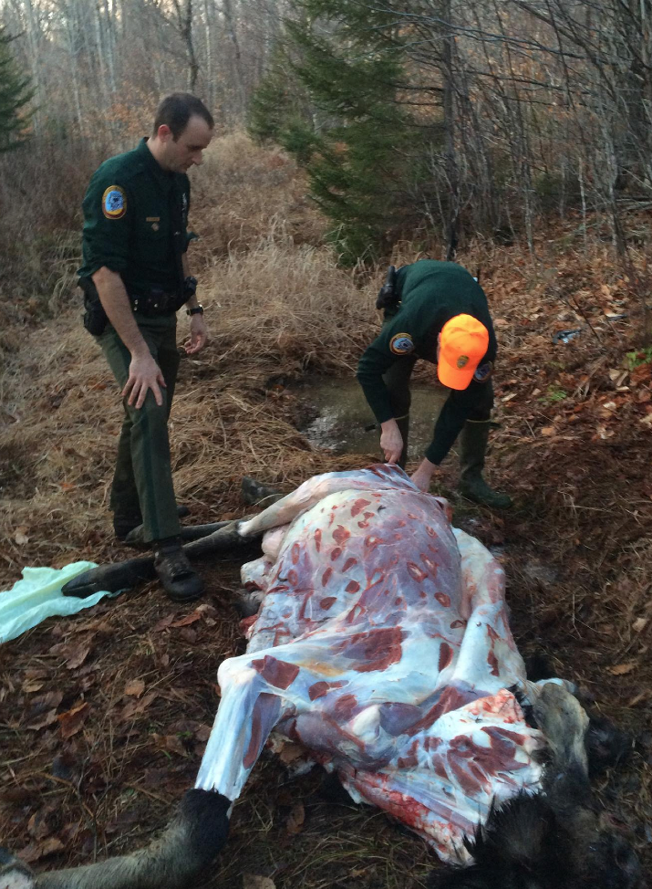 Screen Shot 2015-12-07 at 9.05.37 PM