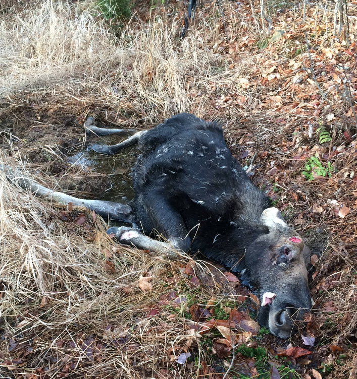 Screen Shot 2015-12-07 at 9.05.19 PM