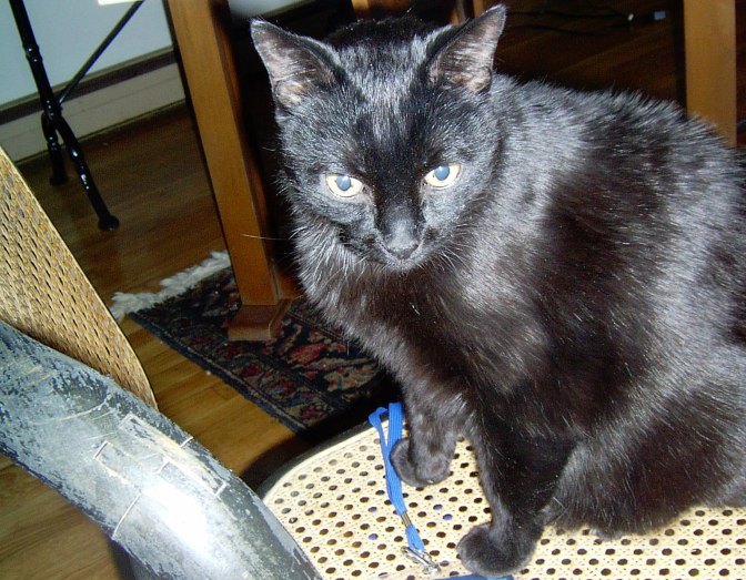 Charlie, pretending not to care.