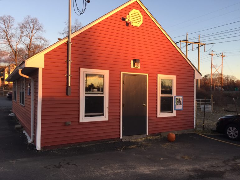 The Nevins Farm pig barn is so full that Willow is living among the horses on the property's main barn.