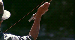 tumblr_miwhr2LAu71rq4cl7o4_250