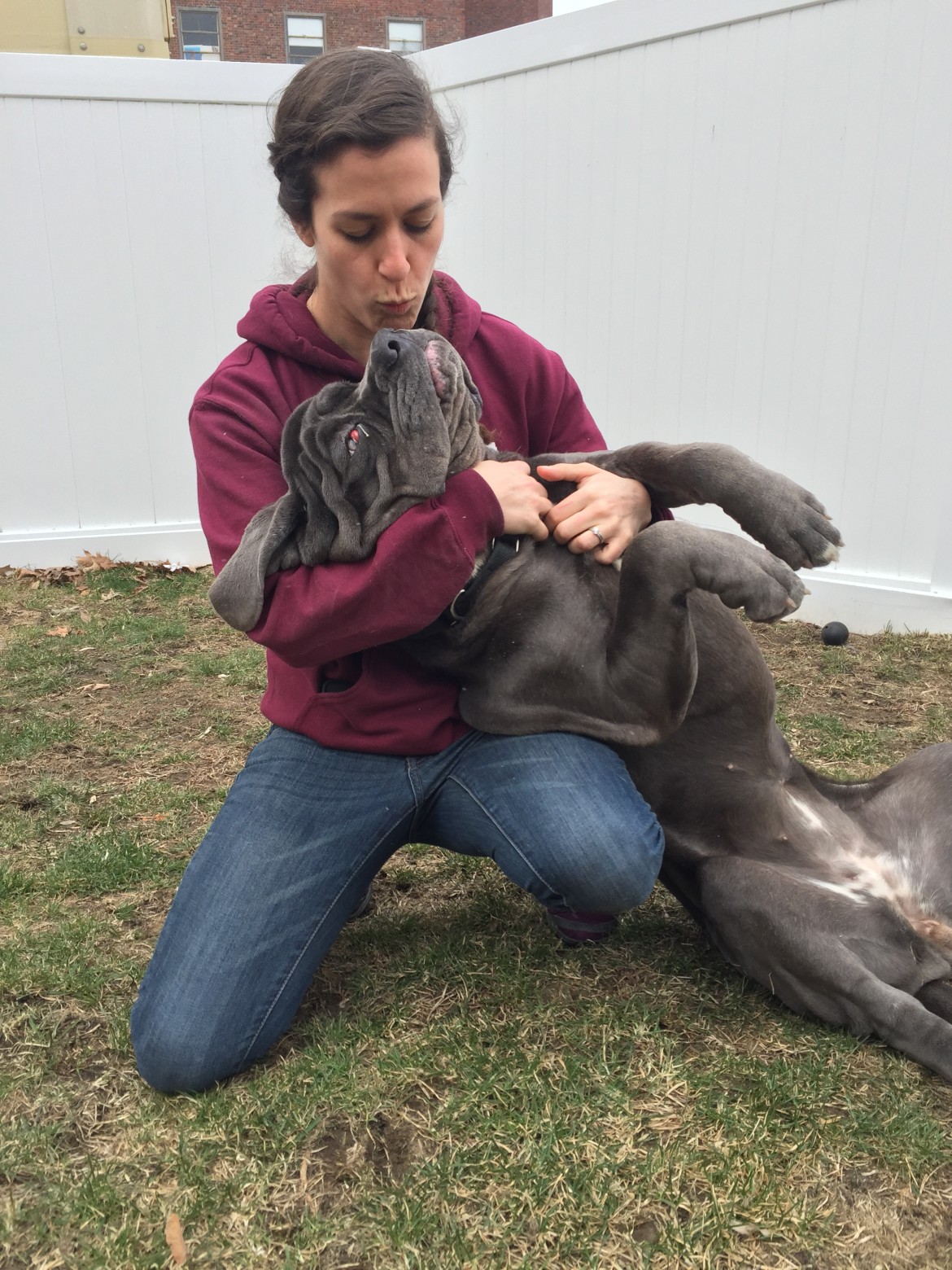 Zoe was surrendered after his owners discovered the level of care he needed.