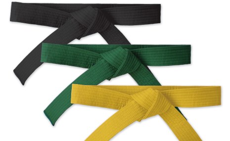 Lean Six Sigma official belts