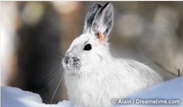 It's small-game hunting season. Hunters are reminded abide by all safety precautions.