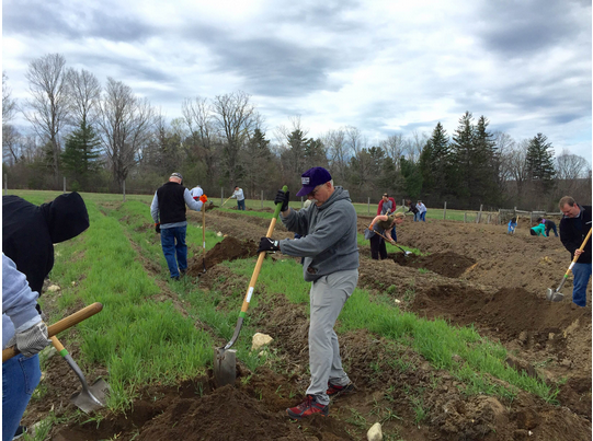 The one-acre production garden in Manchester allows the NH Food Bank to grow fresh vegetables in support of its programs and partner agencies, and this grant will allow the NH Food Bank to increase the garden’s capacity and to extend the growing season through season extension techniques. 