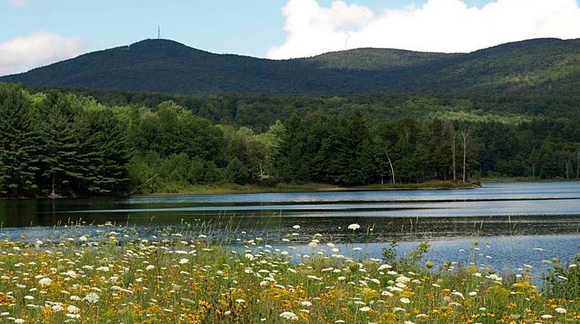 Screen Shot 2016-04-07 at 6.15.56 AM